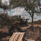 Clearing Flood Debris Along a Riverbank in Kerrville, Texas