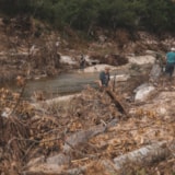 Volunteers clear flood debris along a Kerrville, Texas riverbank